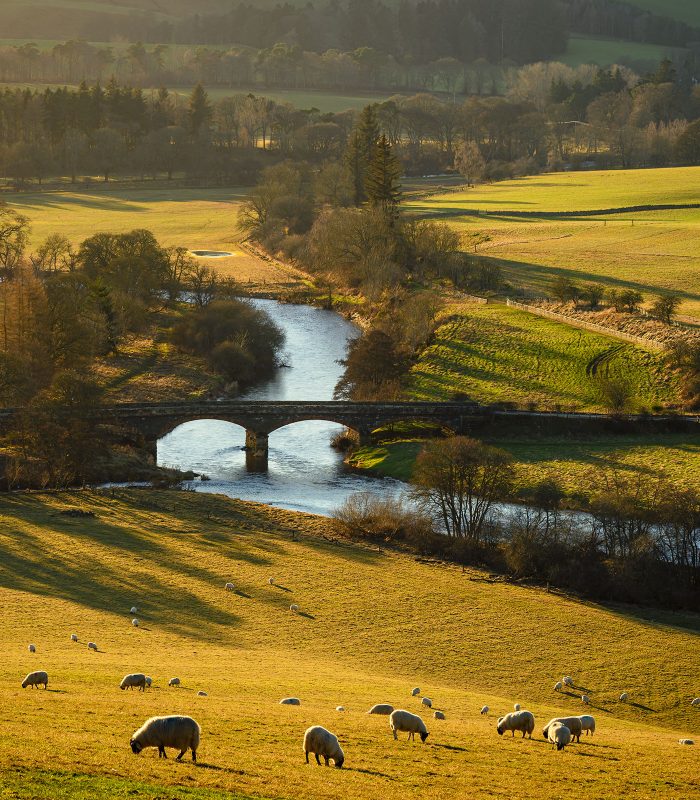 The River Tweed is 97 miles long from source to estuary and runs eastward in the Scottish Borders